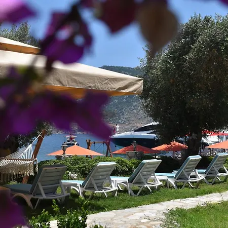 Fiska Butik ホテル