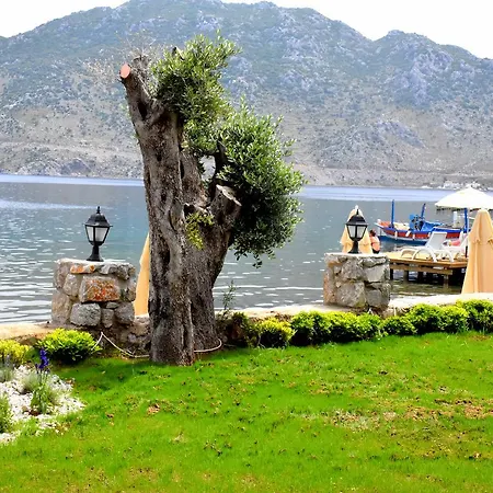 ホテル Fiska Butik 4*