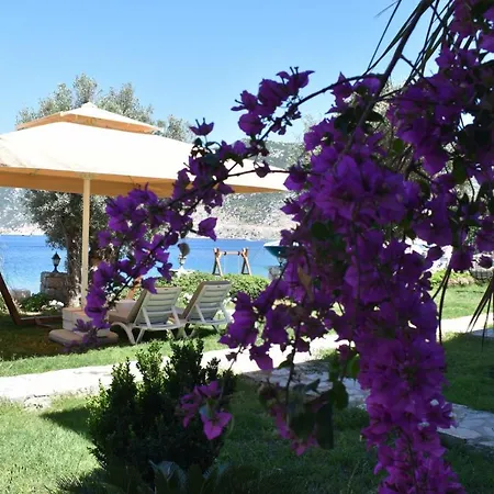 Hotel Fiska Butik