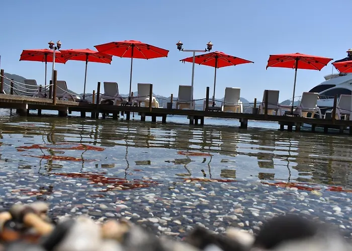 酒店 Fiska Butik 4*