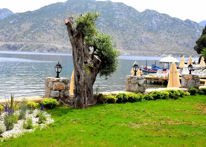 酒店 Fiska Butik 4*