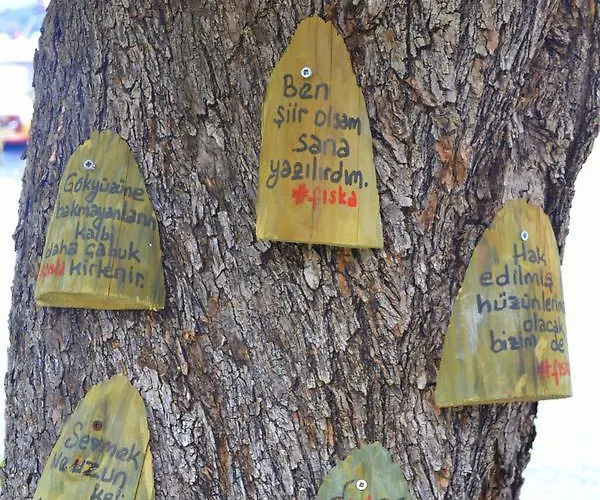 酒店 Fiska Butik 4*